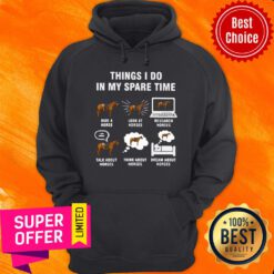 Horses Things I Do In My Spaes Research Hoodie