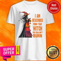 I Am Descended From Thadnt Burn Witch Shirt