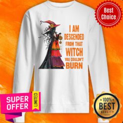 I Am Descended From Thadnt Burn Witch Sweatshirt