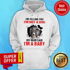 I’m Telling You I’m Not A Dog My Mom Said I’m A Baby Pitbull Dog Hoodie