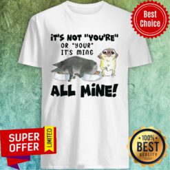 It's Not You're Or Your It's Mine All Mine Shirt