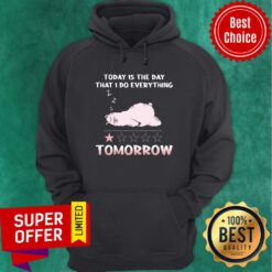 Llama Today Is The Day That I Do Everything Tomorrow Hoodie