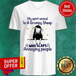My Spirit Animal Is A Frumpy Sheep Who Slaps Annoying People V-neck