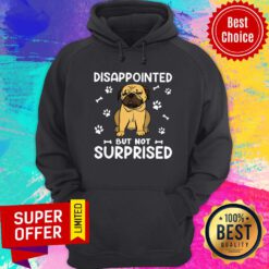 Pug Dog Disappointed But Not Surprised Hoodie