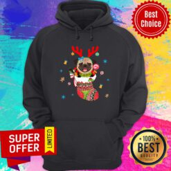 Pug Dog In The Socks Christmas Hoodie