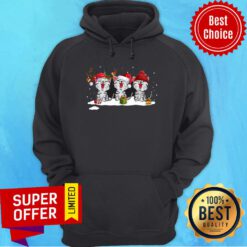 Women’s Cute Santa Cat Merry Christmas Cat Hoodie