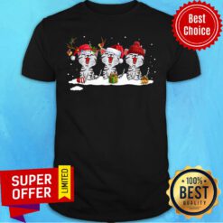 Women’s Cute Santa Cat Merry Christmas Cat Shirt