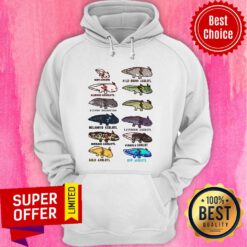 Axolotl Baby Albino Silver Melano Id Lavender Hoodie
