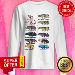 Axolotl Baby Albino Silver Melano Id Lavender Sweatshirt