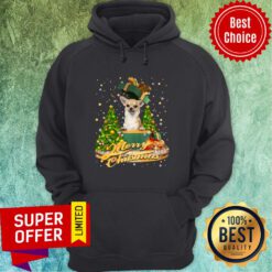 Chihuahua In Box Merry Christmas Hoodie