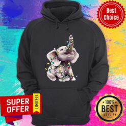 Cute Elephant With Colorful Lights Hoodie