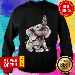 Cute Elephant With Colorful Lights Sweatshirt