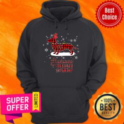 Dachsund Through The Snow Light Led Christmas Hoodie