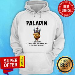 Paladin Oathkeeper Lawful Good Not Lawful Nice Hoodie