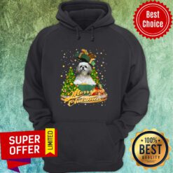 Shih Tzu In Box Merry Christmas Hoodie