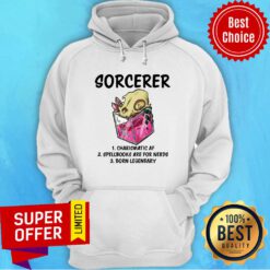 Sorcerer Charismatic Af Spellbooks Are For Nerds Hoodie