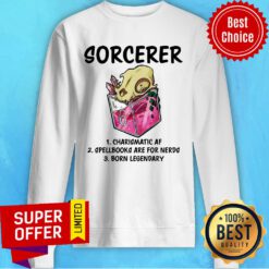 Sorcerer Charismatic Af Spellbooks Are For Nerds Sweatshirt