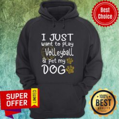 Volleyball I Just Want To Play Volleyball And Pet My Dog Hoodie
