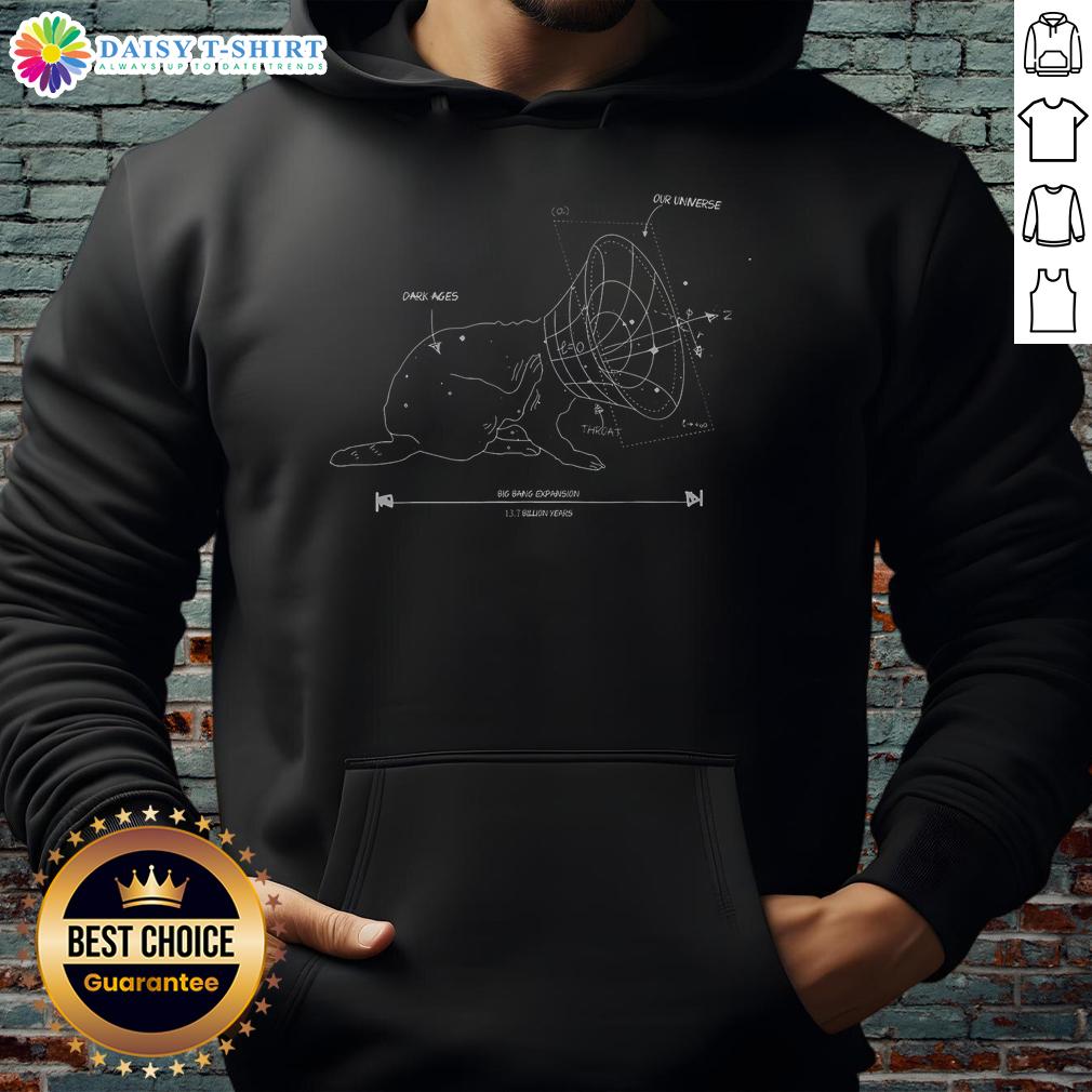 Official Big Bang Expansion Universe hoodie featuring science-themed cat design, perfect for physics and space enthusiasts.
