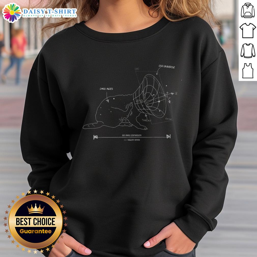 Alt Text: Official Big Bang Expansion Universe Science Cat Physics Space Unfolded Sweatshirt showcasing cosmic design.