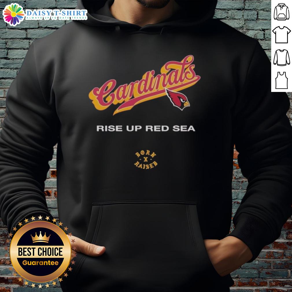 Alt Text: Nice Arizona Cardinals Born x Raised Rise Up Red Sea Hoodie showcasing team spirit and stylish design.