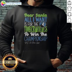 Alt Text: Premium Dear Santa, All I Want Is For The Minnesota Timberwolves To Win The Championship hoodie in blue.
