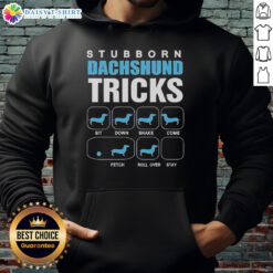 Adorable dachshund wearing a hoodie showcasing awesome stubborn tricks, perfect for dog lovers and pet enthusiasts.