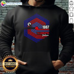 Good Stranger 1987 hoodie inspired by Stranger Things, featuring Hawkins, Indiana design in vibrant colors.