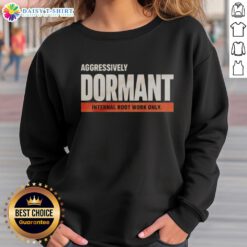 Alt Text: Funny sweatshirt featuring 'Nice Aggressively Dormant Internal Root Work' design, perfect for casual or cozy wear.