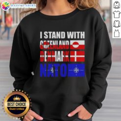 Nice I Stand With Greenland Denmark NATO Sweatshirt design showcasing support for Greenland in NATO alliance.