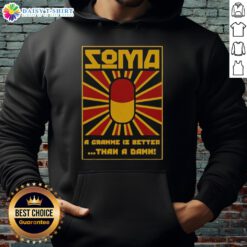 Vintage hoodie featuring 'A Gramme is Better than a Damn' slogan from Brave New World by Soma, perfect for literary fans.