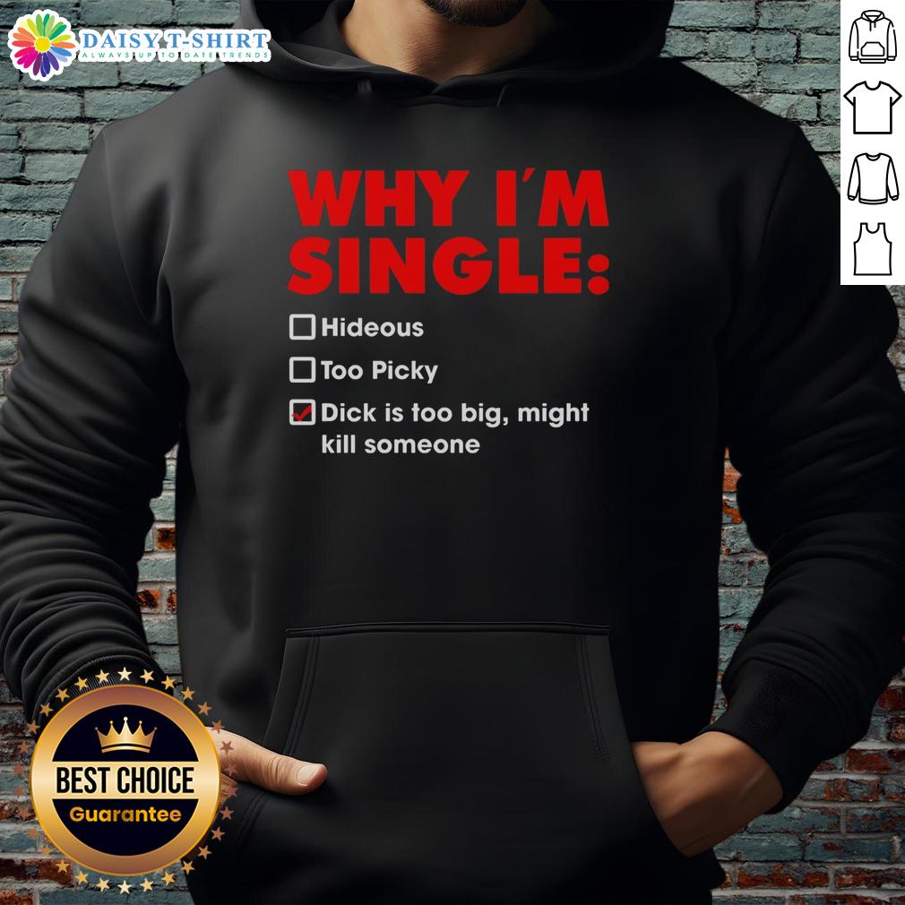 Alt Text: Funny hoodie with text 'Top Reasons I'm Single: Too Picky, Hideous, Big Dick Might Kill Someone' for humorous apparel.