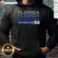 Original Florida Gators College Baseball hype hoodie in vibrant blue, showcasing team spirit and athletic style.