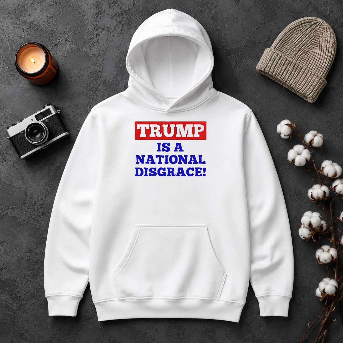 Original Trump Is A National Disgrace Political Protest Hoodie Original Trump Is A National Disgrace Political Protest Hoodie